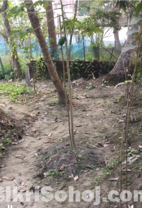 জমি বিক্রয়